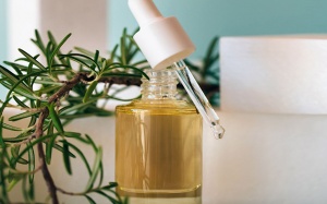 Dưỡng tóc và da đầu khỏe mạnh với tinh dầu hương thảo