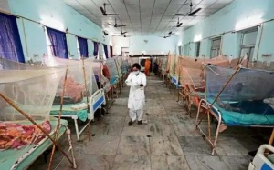 WHO cảnh báo mối đe dọa toàn cầu của bệnh sốt xuất huyết