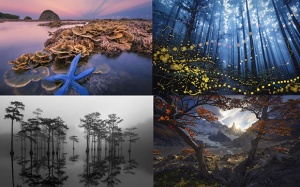 Chiêm ngưỡng những bức ảnh phong cảnh đẹp nhất năm 2023