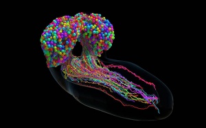 7 đột phá y học được kỳ vọng thay đổi thế giới trong năm 2023