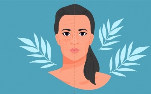 Infographic: 6 dưỡng chất giúp chống lão hóa hiệu quả