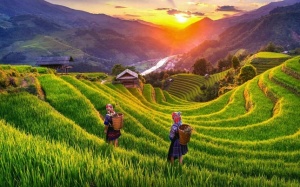 Báo Mỹ chọn Việt Nam là điểm đến an toàn, hấp dẫn bậc nhất Châu Á