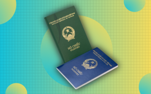 Lý do Việt Nam giảm 5 bậc trên bảng xếp hạng hộ chiếu thế giới 2024?