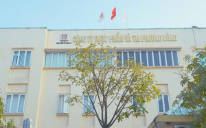 Vi phạm về đăng ký, sản xuất thuốc, một công ty bị phạt 70 triệu đồng