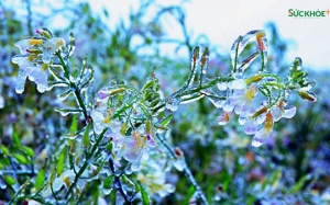 Bộ Y tế yêu cầu bảo đảm phòng chống rét cho người bệnh khi thời tiết lạnh