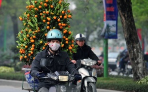 Bắc Bộ vẫn rét căm căm, Nam Bộ nắng nóng