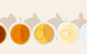 Nước tiểu màu bất thường có thể do 6 loại thực phẩm này