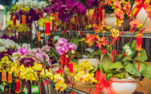 Những loại hoa cần cẩn trọng khi để trong nhà vào ngày Tết