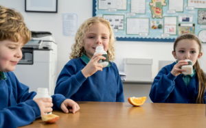 Bí quyết lựa chọn bữa ăn nhẹ ngon miệng và bổ dưỡng cho trẻ