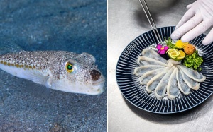 Top 7 thực phẩm nguy hiểm chết người