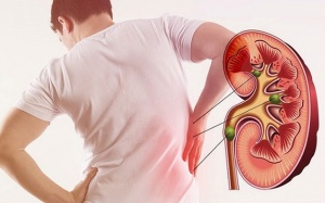 9 dấu hiệu cảnh báo bệnh lý tại thận