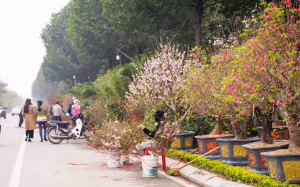 Miền Bắc đỡ ẩm ướt