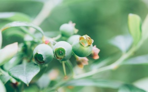 Tử vi thứ Sáu (16/2/2024): Thiên Bình không nên bỏ qua các chi tiết nhỏ