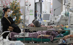 Bộ Y tế: Tết Giáp Thìn, số bệnh nhân khám, cấp cứu tăng hơn 30%