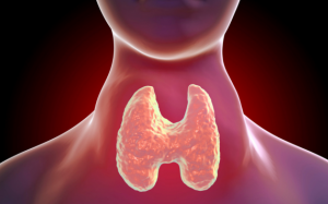 6 cách giúp người bệnh Basedow tăng cân, hết mệt mỏi