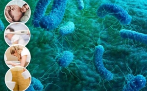 Châu Âu đối mặt với siêu vi khuẩn kháng thuốc mới