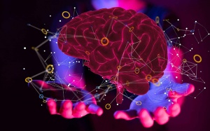 Lần đầu tiên thế giới chữa khỏi hoàn toàn ung thư não