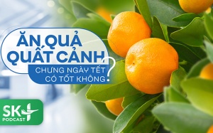 Podcast: Ăn quả quất cảnh chưng ngày Tết có tốt không?