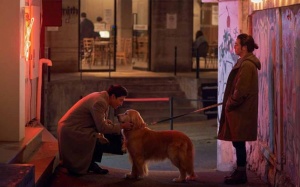 Gợi ý phim cuối tuần: Thư giãn cùng 'Sen boss sum vầy'