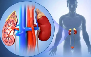 Nguy cơ suy thận do tăng huyết áp