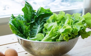 Bảo quản rau lá xanh ra sao để đảm bảo an toàn thực phẩm?