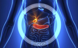 Sỏi mật 21mm dùng TPBVSK Kim Đởm Khang được không?