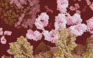 5 bệnh tự miễn thường gặp mà bạn cần biết