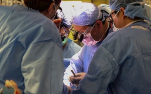 Mỹ thực hiện ca ghép thận lợn đầu tiên cho người bệnh thận