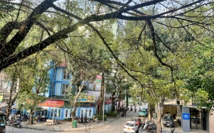 Bắc Bộ nắng nóng cục bộ, có nơi trên 35 độ C