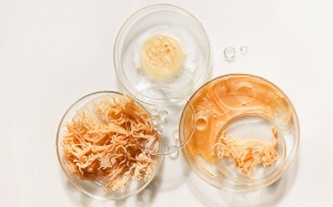 Trào lưu sử dụng rong sụn biển để chăm sóc sức khỏe