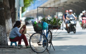 Nắng nóng ở nhiều khu vực trên cả nước