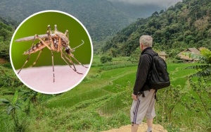 Cảnh giác với sốt rét khi đi du lịch