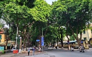 Bắc Bộ mưa dông vài nơi, trời dịu mát