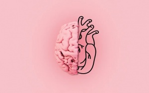 Tại sao rung nhĩ lại gây biến chứng đột quỵ?