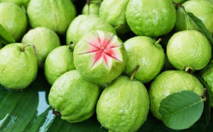 Giá trị dinh dưỡng của ổi và những lưu ý khi ăn