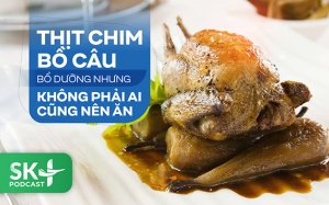 Podcast: Thịt chim bồ câu bổ dưỡng nhưng không phải ai cũng nên ăn