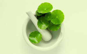 Bật mí khả năng phục hồi và chăm sóc da của rau má