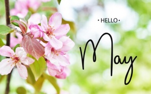 Tử vi tháng 5/2024: Ma Kết cần quan tâm hơn tới chuyện tình cảm