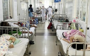 Vụ nghi ngộ độc ở Đồng Nai: Hơn 460 người nhập viện, mở thêm một đơn vị cấp cứu