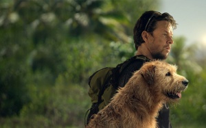 Gợi ý phim cuối tuần: Ra rạp gặp chú chó kiên cường Arthur
