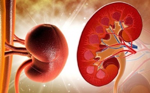 Suy thận ở người già: Tại sao lại nguy hiểm?