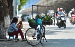 Bắc Bộ và Trung Bộ tiếp tục mưa dông chiều tối