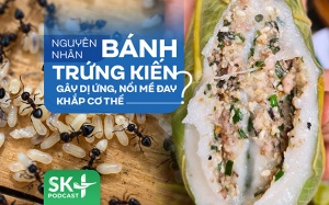 Podcast: Nguyên nhân bánh trứng kiến gây dị ứng, nổi mề đay khắp cơ thể? 
