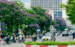 Bắc Bộ ngày nắng, mưa dông chiều tối và sáng sớm