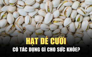 5 lợi ích khi bổ sung hạt dẻ cười vào chế độ ăn uống
