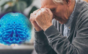 Bệnh Alzheimer liên quan đến ăn thịt và thực phẩm chế biến sẵn