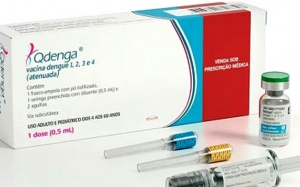 WHO phê duyệt vaccine Qdenga phòng sốt xuất huyết của Nhật Bản