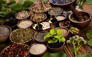 Bài thuốc dân gian hỗ trợ cải thiện thoái hóa đốt sống lưng 