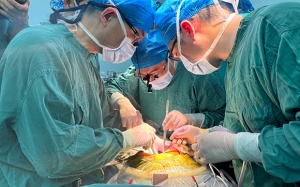 Trung Quốc: Lần đầu tiên ghép gan lợn chỉnh sửa gene thành công lên người còn sống