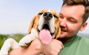 Tử vi thứ Sáu (7/6/2024): Bảo Bình nên chơi đùa nhiều hơn với thú cưng